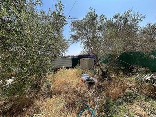 Terreno en venta en Carmona