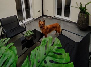 Conjunto YDBY Lounge Set Negro