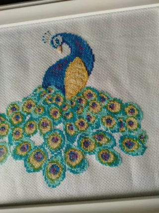Quadro 20x25 Pavone Punto Croce Fatto a Mano