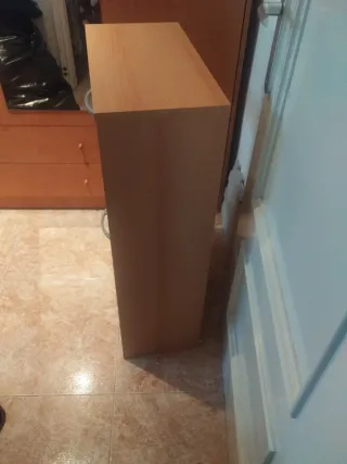 Zapatero de madera y plástico