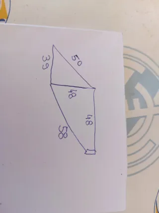 Bicicleta de carretera Macario equipada