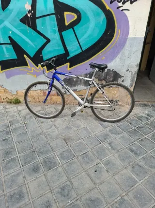 Bicicleta de montaña Torbike