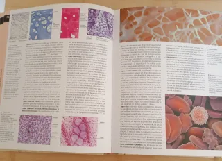 Fisiología humana (Atlas Ilustrado/ Illustrated...