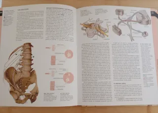Fisiología humana (Atlas Ilustrado/ Illustrated...