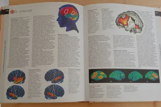 Fisiología humana (Atlas Ilustrado/ Illustrated...