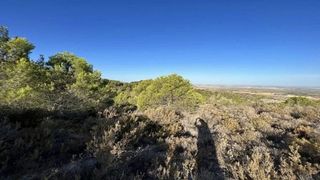 Terreno en venta en Osuna