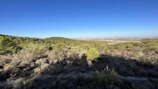 Terreno en venta en Osuna