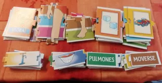 Puzzle Il Corpo Umano Clementoni