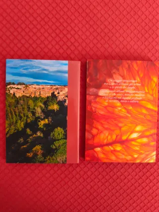 N.2 libri Touring Club Italiano