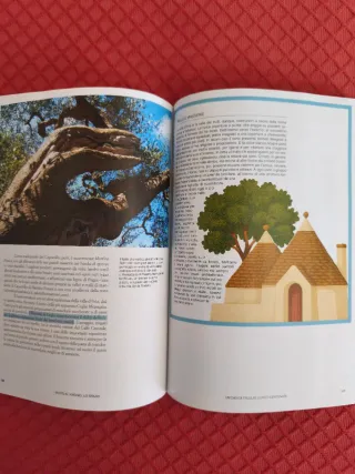 N.2 libri Touring Club Italiano