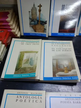 16 Libros Biblioteca Didáctica Anaya 1987