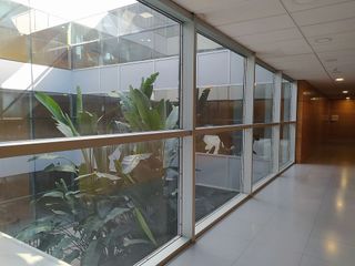 Oficina en alquiler en Coll Favà - Can Magí en Sant Cugat del Vallès