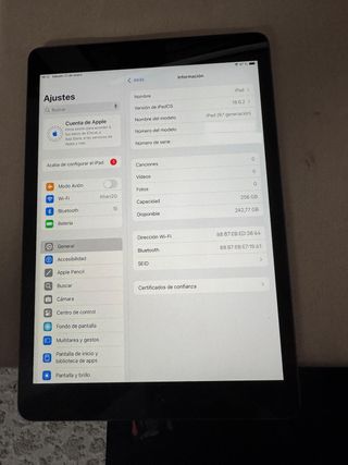 iPad 9ª Gen Wi-Fi 256GB Plata/Gris Espacial