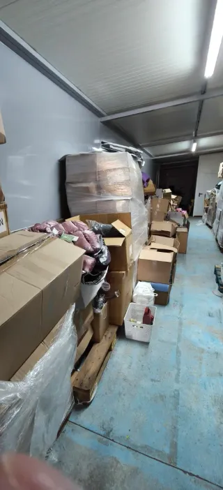 Lote 25 palets mercancía variada