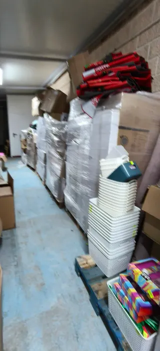 Lote 25 palets mercancía variada