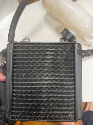 Radiador y bote expansor Aerox