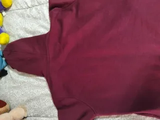 Sudadera Sfera con Capucha