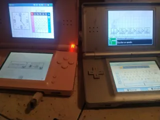 Nintendo DS Lite Rosa y Plateada