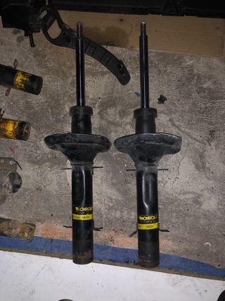 Monroe Suspensiones Delanteras 16731