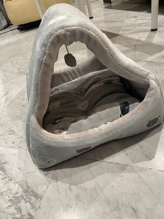 Set di articoli per gatti