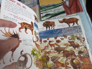 Llibres/Libros infantiles ilustraciones