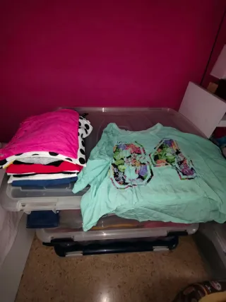 Lote Ropa Mujer Talla M (38-40)