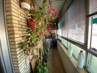 Piso en venta en Campo de la Juventud en Palencia