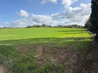 Solar en venta en Manacor Centro en Manacor