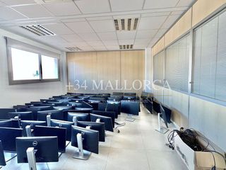 Oficina en alquiler en La Indioteria en Palma de Mallorca