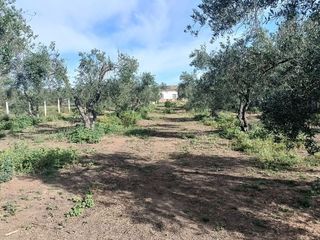 Casa rural en venta en Villamanrique de la Condesa