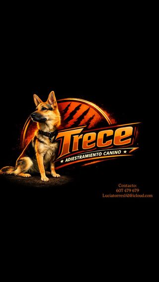 Adiestramiento canino