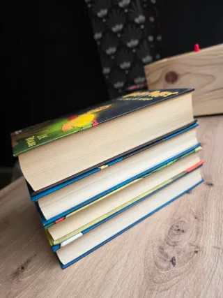 Harry potter 4 primeros