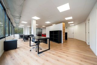 Oficina en alquiler en La Llotja - Sant Jaume en Palma de Mallorca