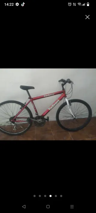 Bicicleta de montaña roja TH Sport