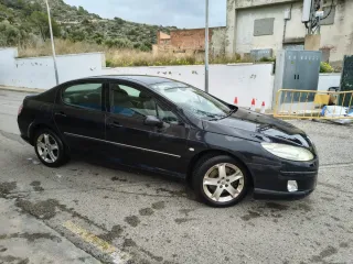 Peugeot 407 2005 con distintivo