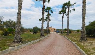 Chalet en venta en Dolores