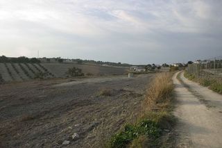 Terreno en venta en Arcos de la Frontera