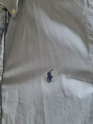 Camicia Polo Ralph Lauren a Righe Blu