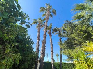 Chalet en venta en La Siesta - El Salado - Torreta en Torrevieja