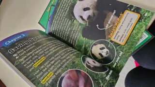 Lote revistas infantiles naturaleza en inglés