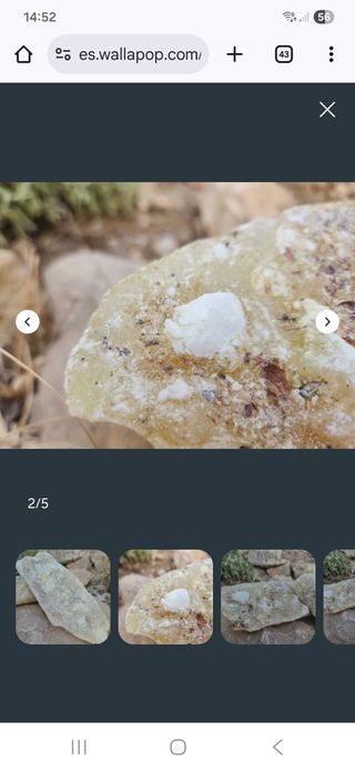 Copal puro de Mejico