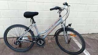 Bicicleta Proflex plateada