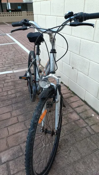 Bicicleta Proflex plateada