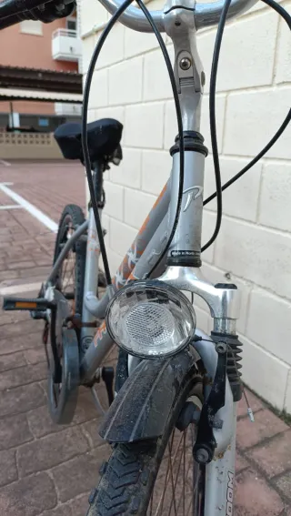 Bicicleta Proflex plateada