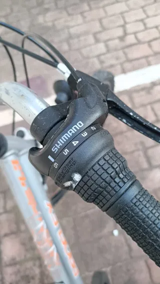 Bicicleta Proflex plateada