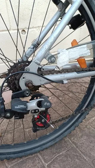 Bicicleta Proflex plateada