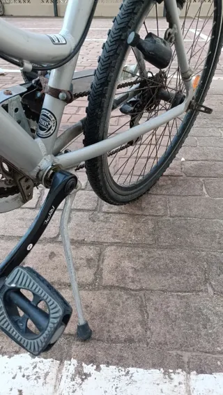 Bicicleta Proflex plateada