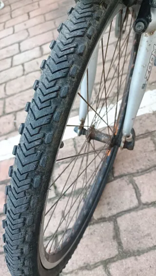 Bicicleta Proflex plateada