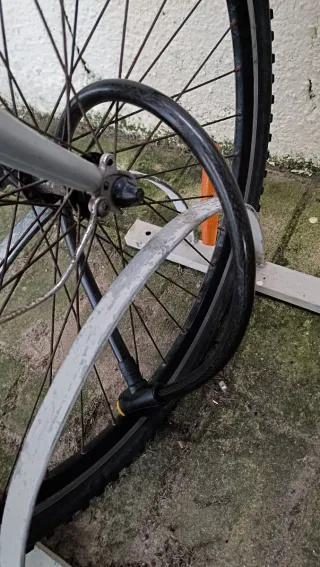 Bicicleta Proflex plateada