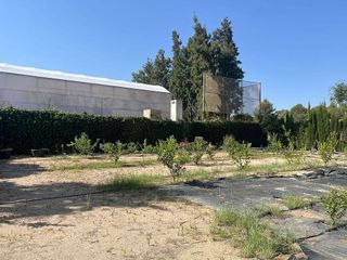 Casa rural en venta en Alfarp